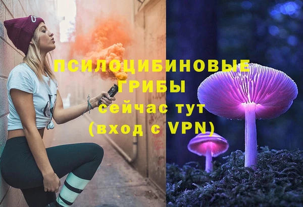 СК Киреевск