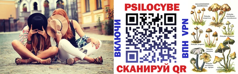 Псилоцибиновые грибы мицелий  Купить где  Урюпинск 
